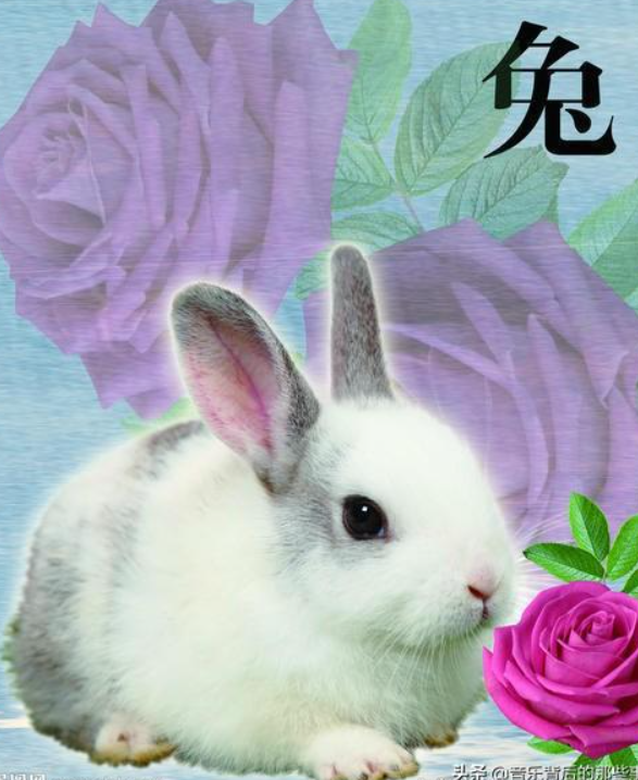 占卜算命,免费八字算命