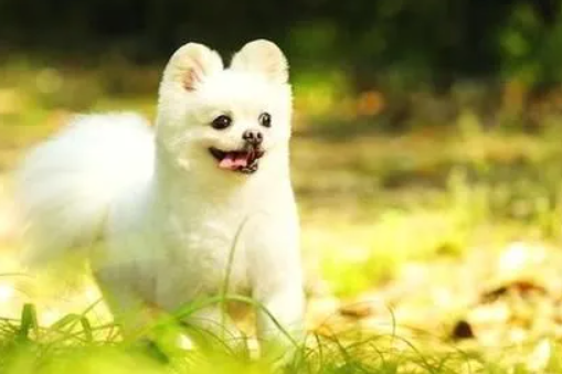 增加偏财运灵验方法