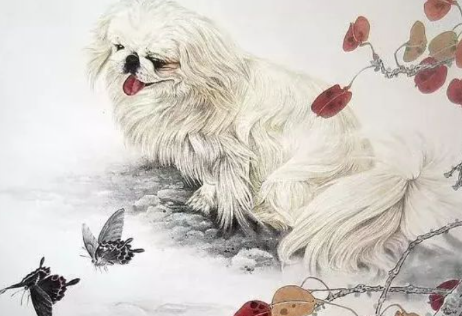 算命最准的网站