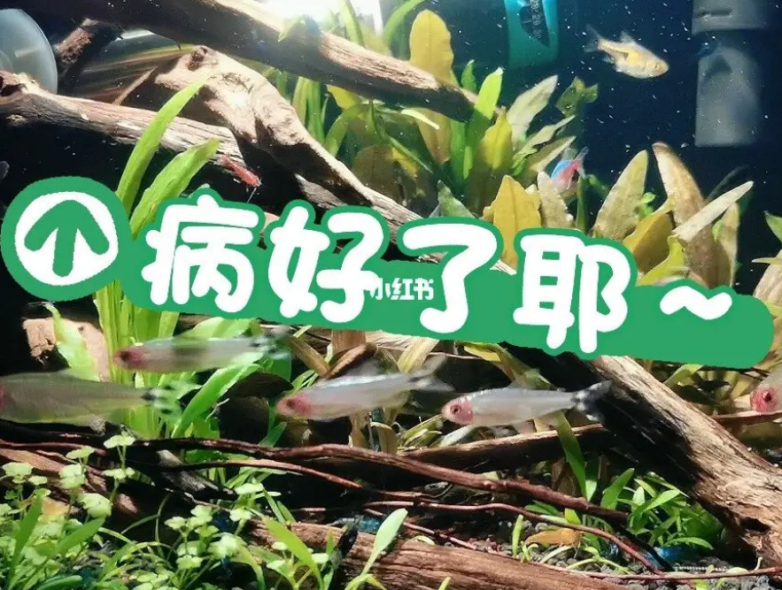 感情算命