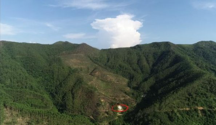 算命财运