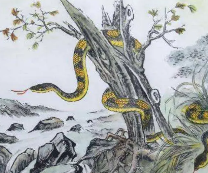 财运预测